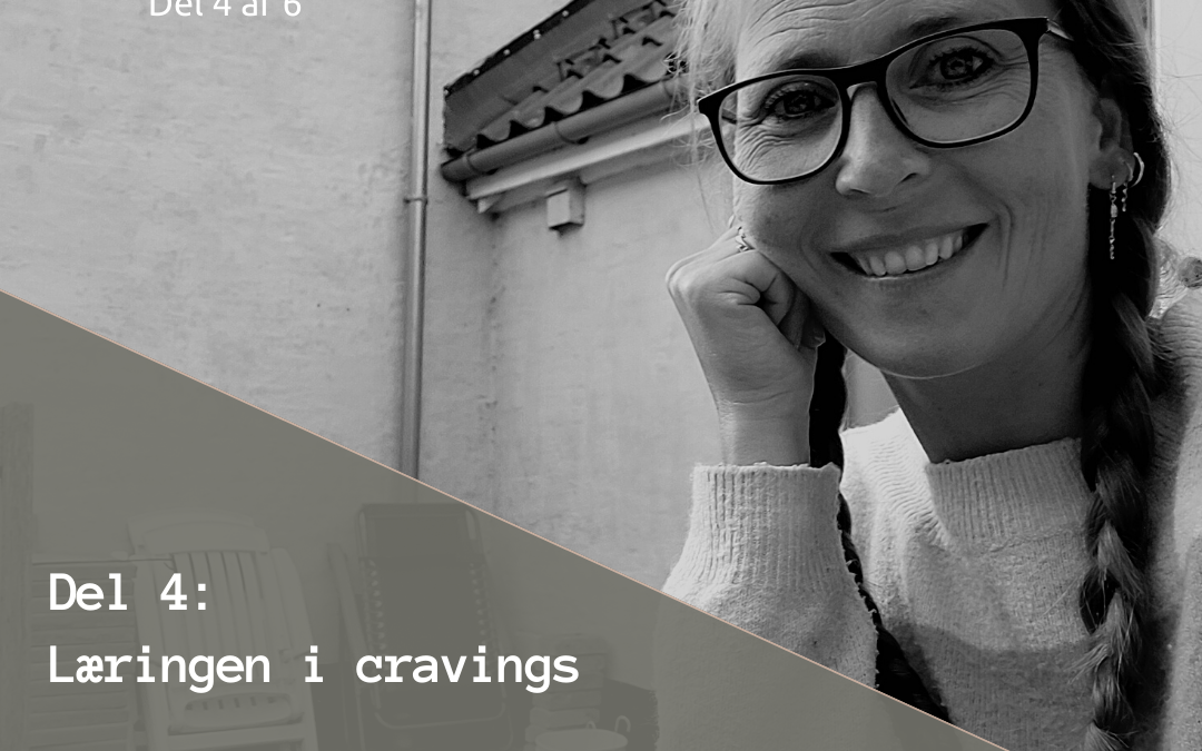 Livet efter forstyrret spisning del 4 af 6 – læringen i cravings