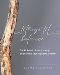 https://app.louiserostgaard.dk/buy/product/94561